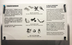 孤獨卻炙熱的靈魂-梵谷光影體驗展 2 0069 02