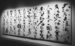 「書畫合一」董陽孜:行墨 3 3 5