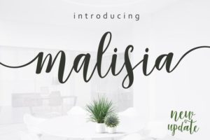 字體種類介紹分享 7 85 9malisia creative market